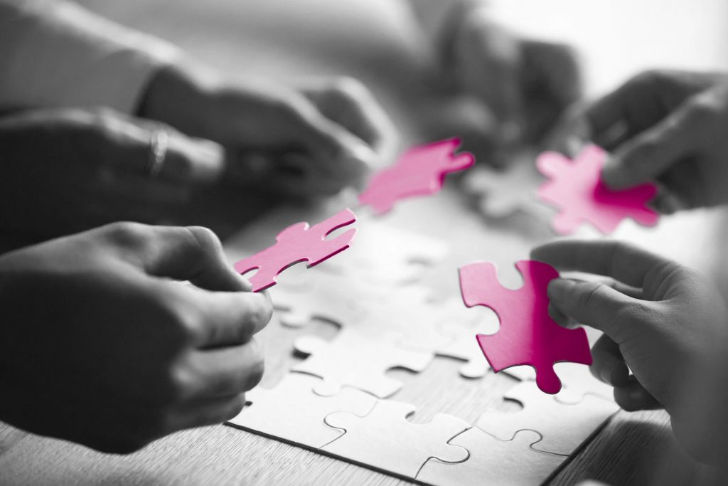 Jigsaw pieces